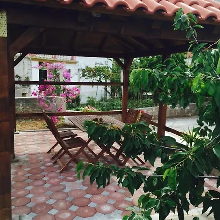 Ap Mileta Apartment